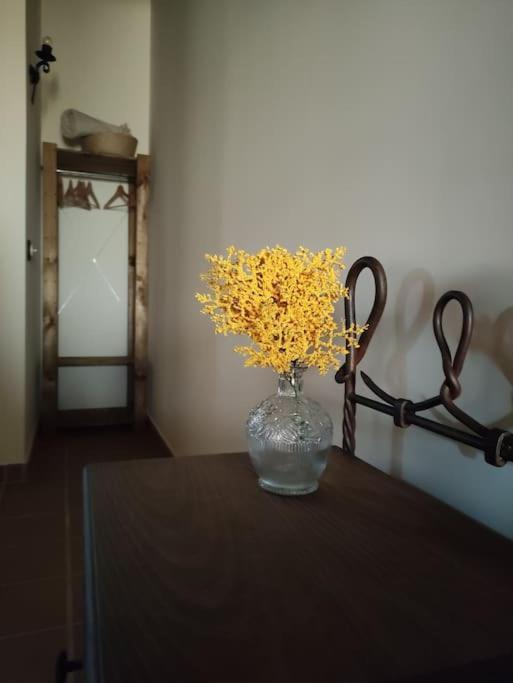 La Casa De La Abuela Amalia Apartment อาเรนัส เด ซานเปโดร ภายนอก รูปภาพ